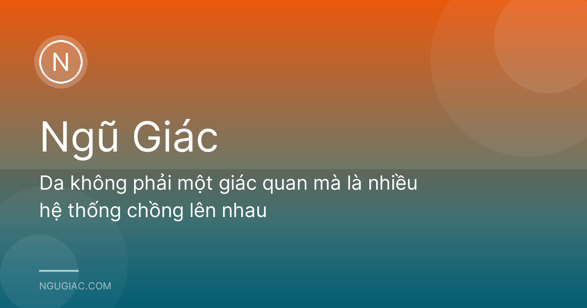 Da không phải một giác quan mà là nhiều hệ thống chồng lên nhau