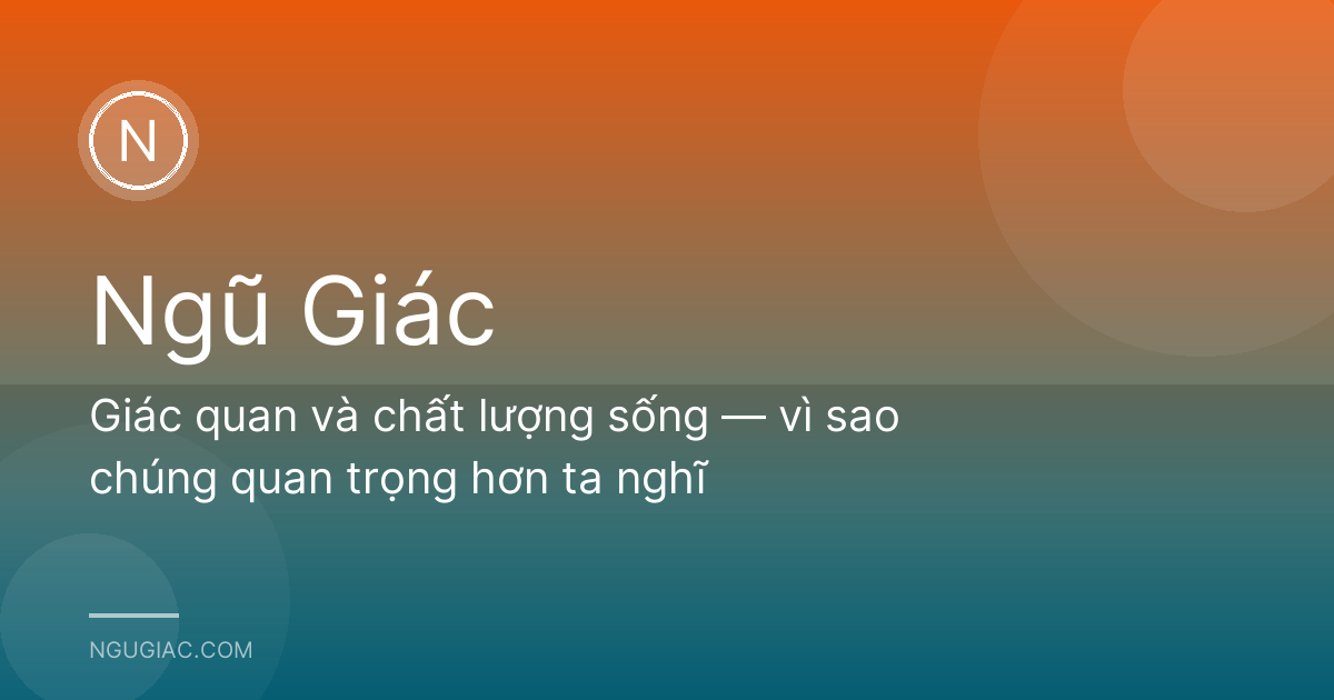 Giác quan và chất lượng sống — vì sao chúng quan trọng hơn ta nghĩ