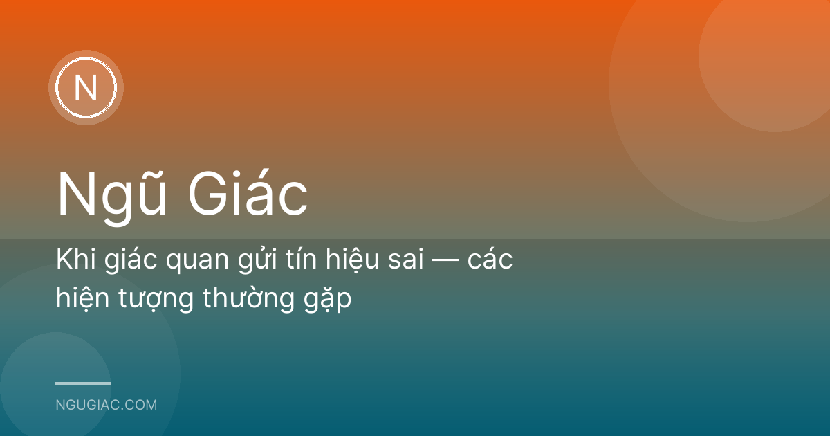 Khi giác quan gửi tín hiệu sai — các hiện tượng thường gặp