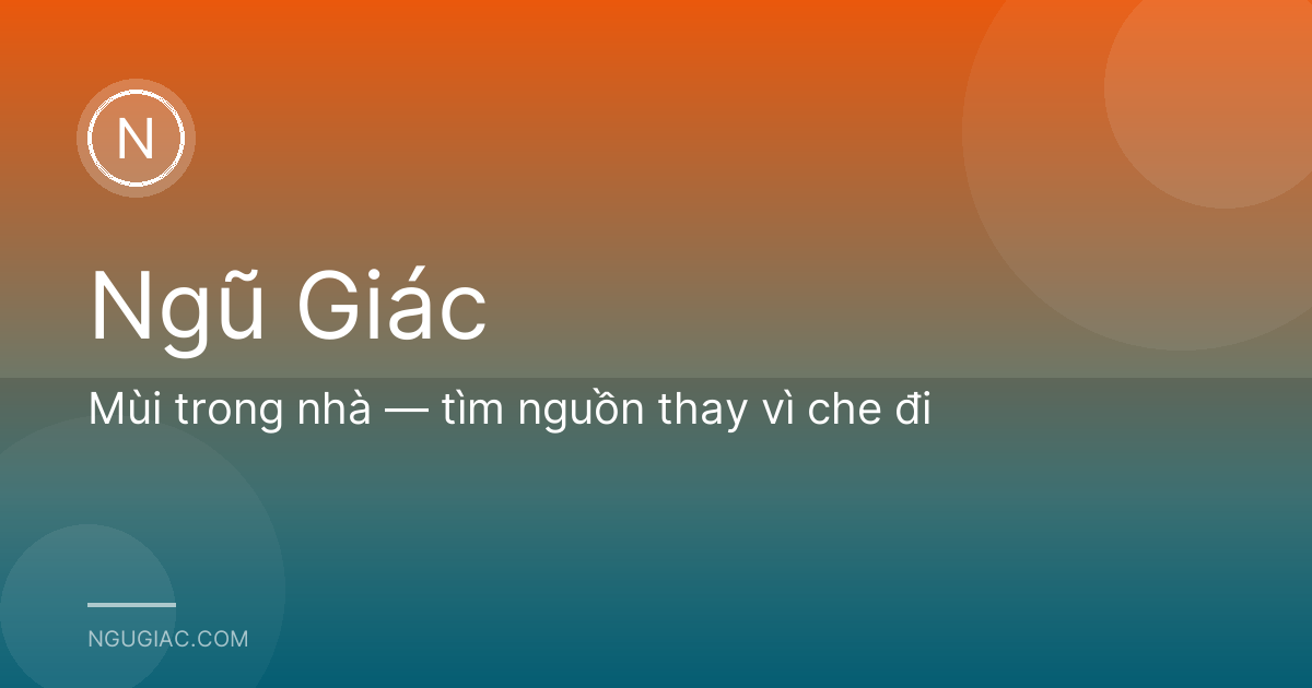 Mùi trong nhà — tìm nguồn thay vì che đi