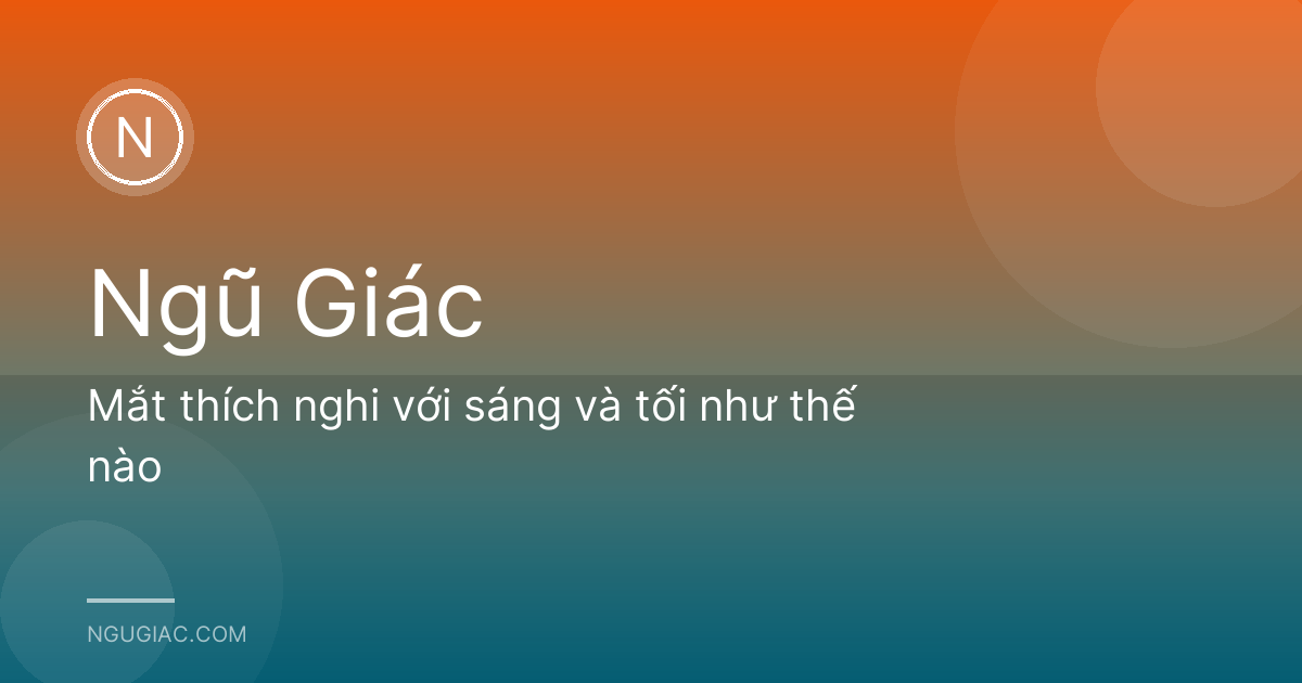 Mắt thích nghi với sáng và tối như thế nào