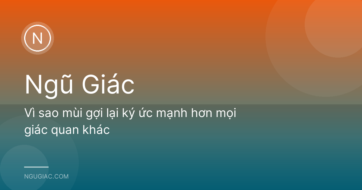 Vì sao mùi gợi lại ký ức mạnh hơn mọi giác quan khác